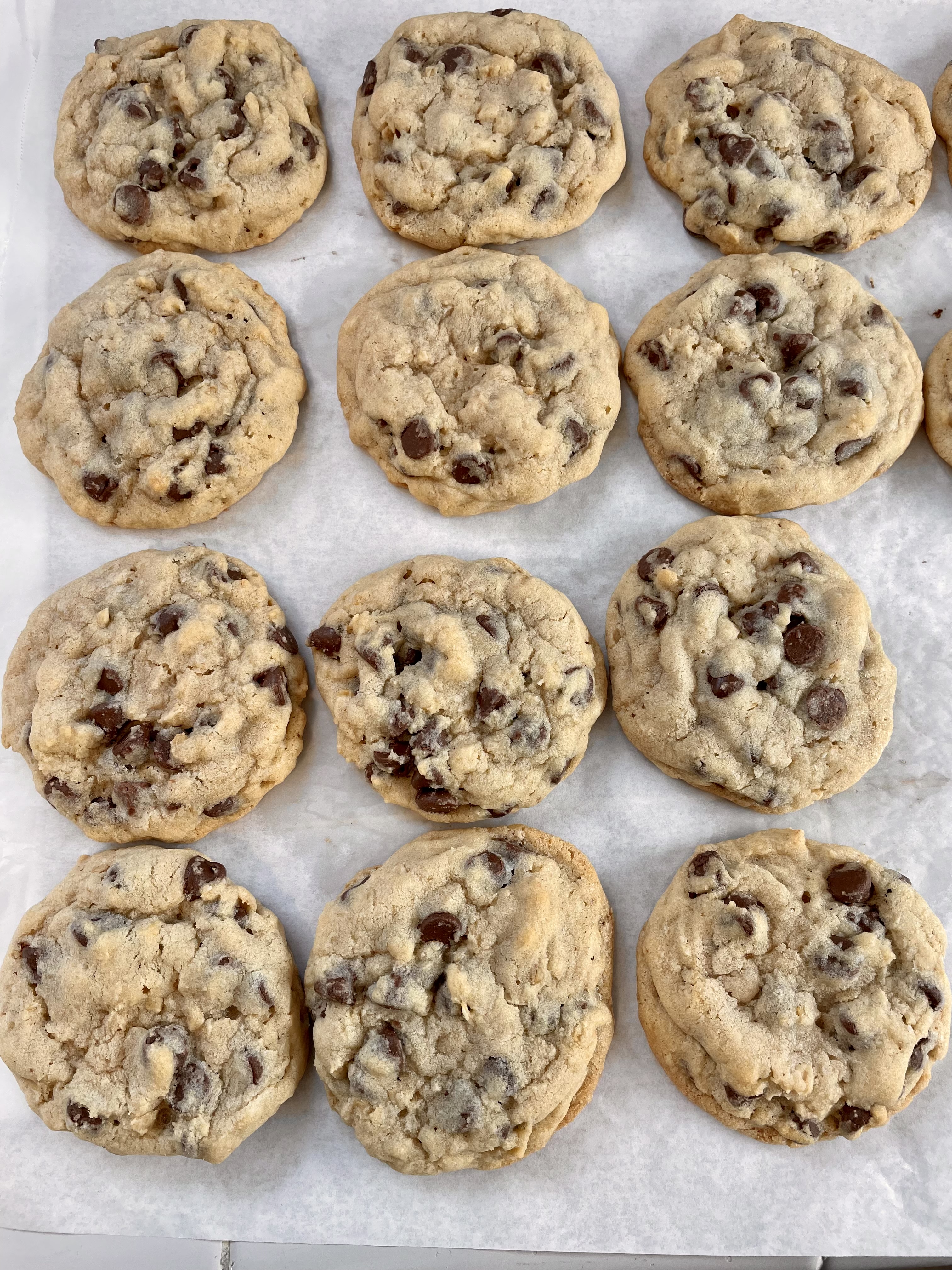 Chocolate Chip Cookie