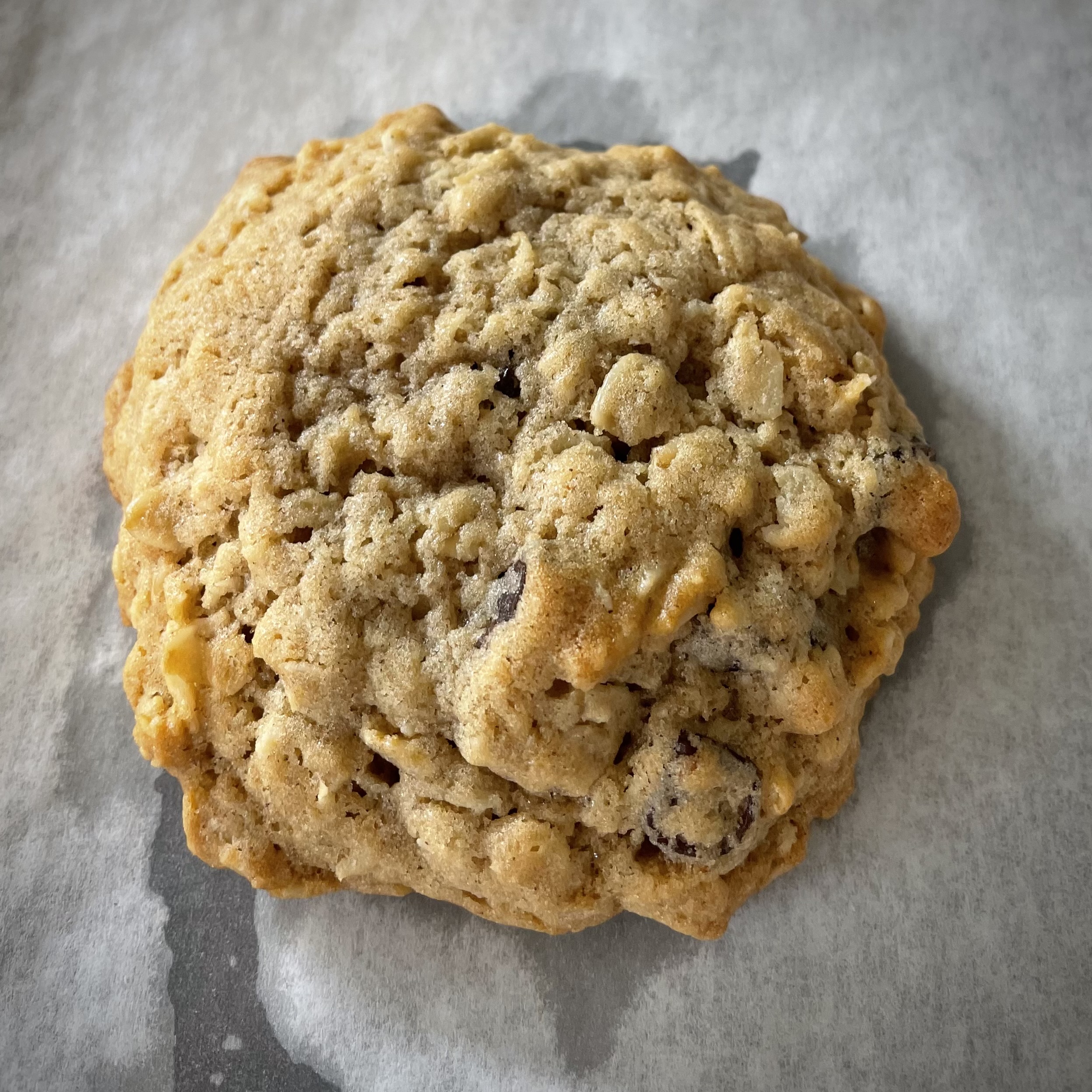 Oatmeal Choc Chip Coconut